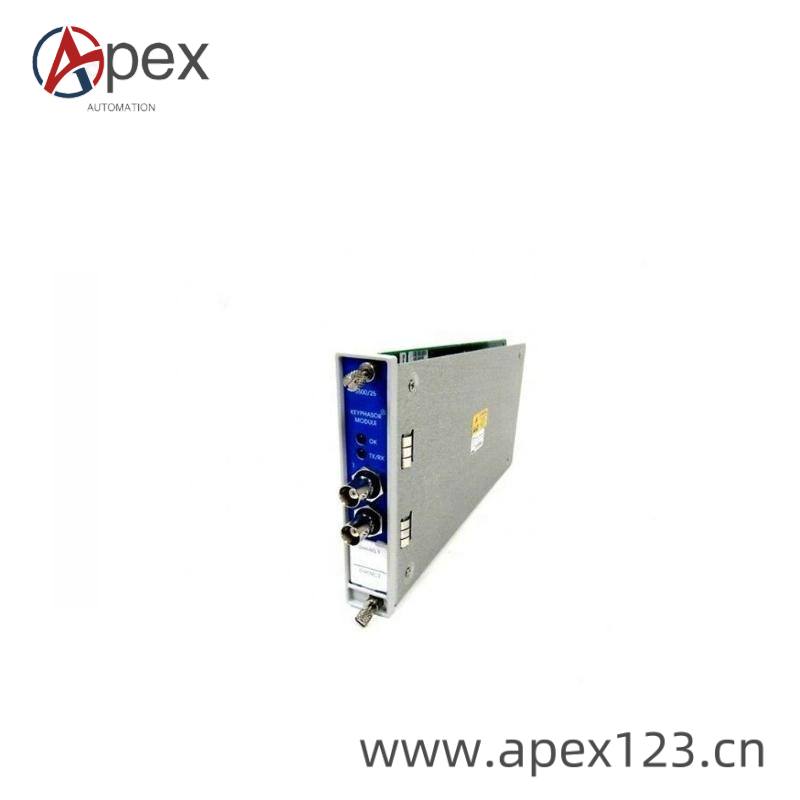 BENTLY 3500/22M Interface Details