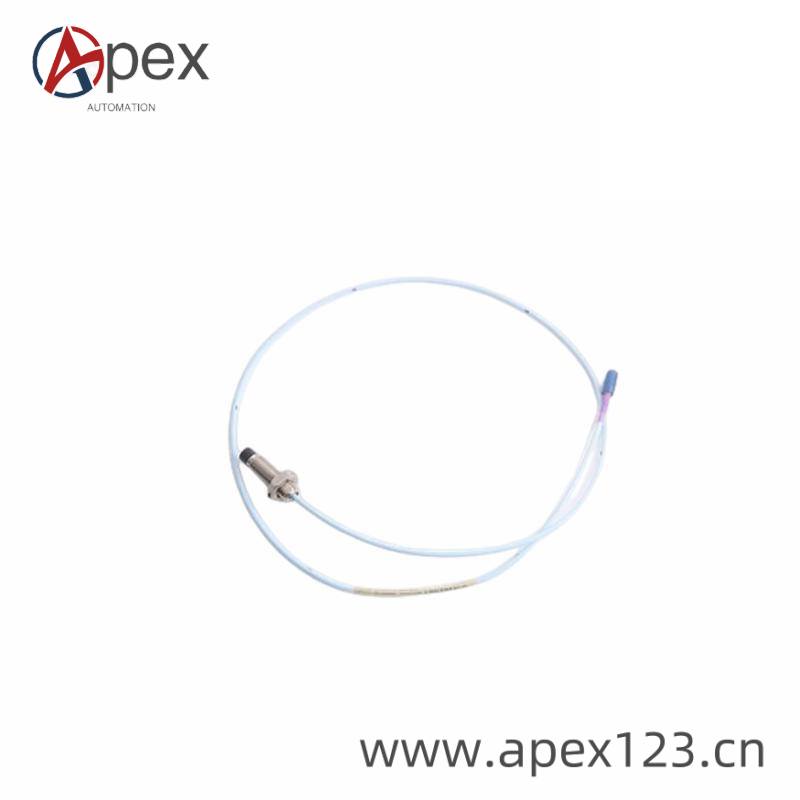 BENTLY NEVADA Module Front View