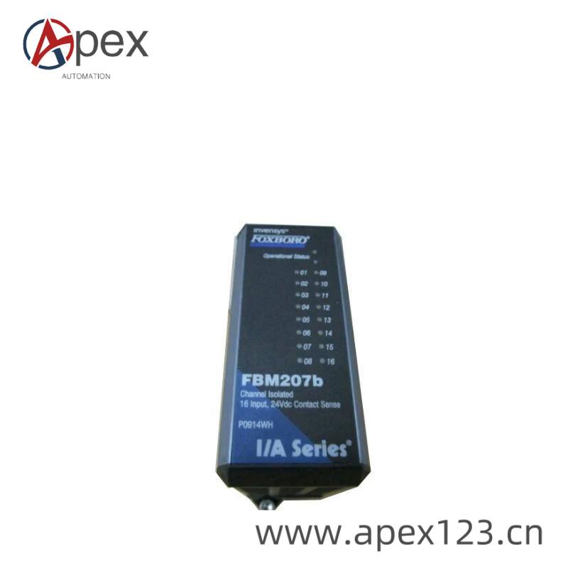 FBM207B Installation View