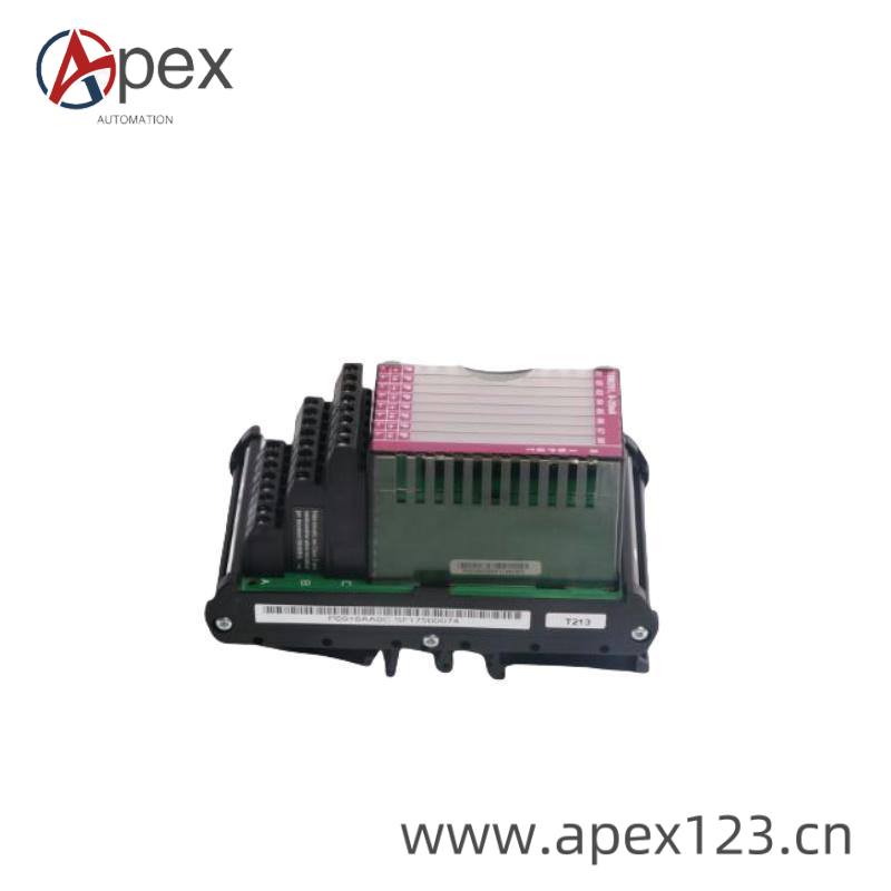 FOXBORO P0916AA Industrial Module