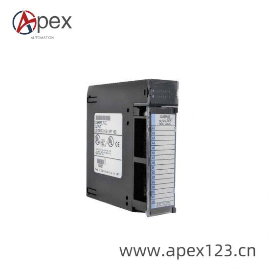 GE DS200SDCIG2AHB Front View