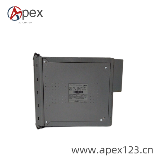 ICS TRIPLEX Module Diagram