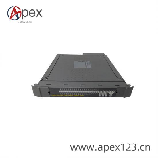 ICS Triplex T8300 Module