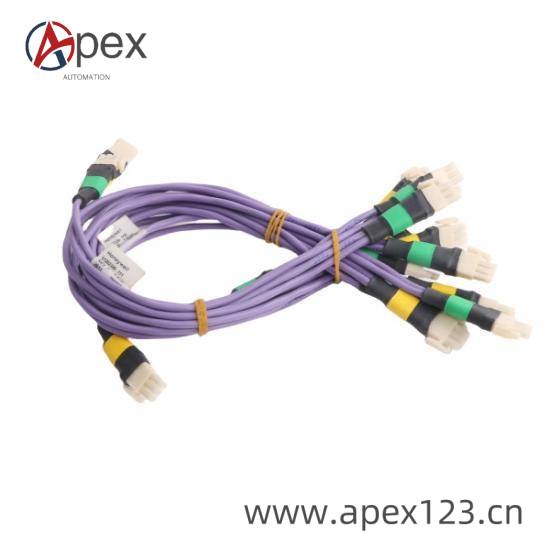 NL2024HU22 Connectivity