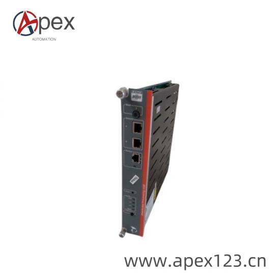 METSO D100532 Port Details