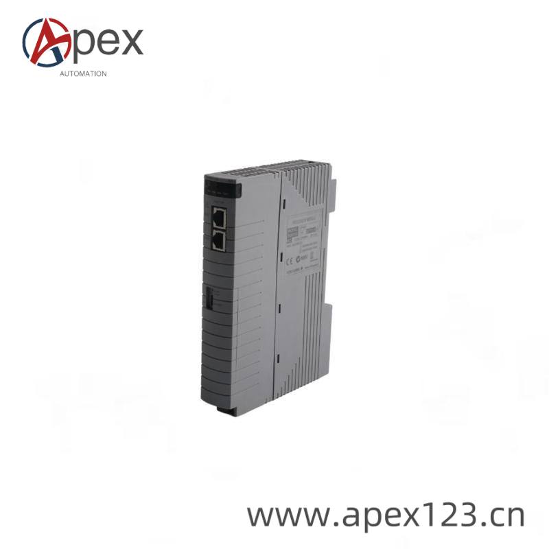 SCHROFF Industrial Processor