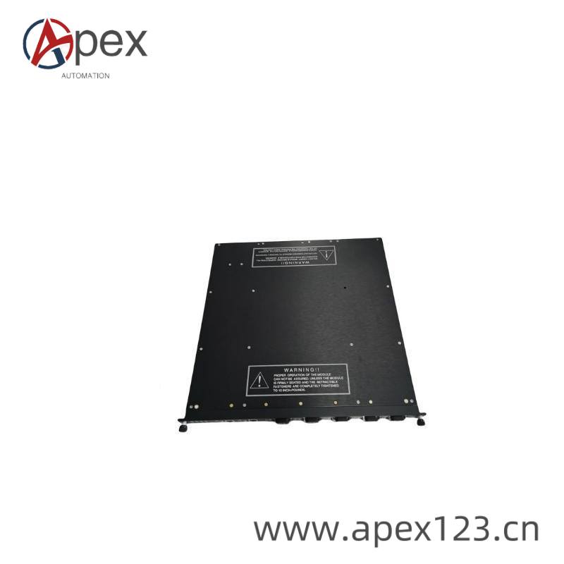TRICONEX 4000093-210 Module