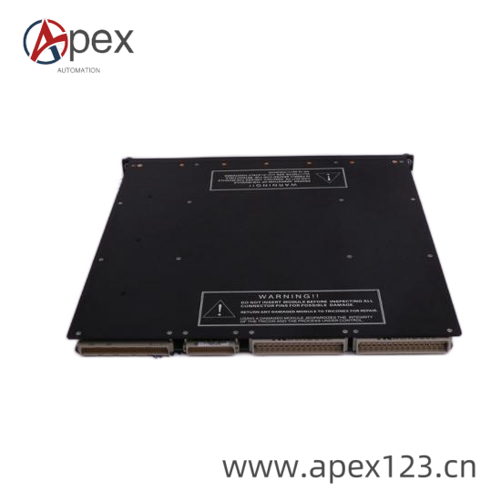 TRICONEX 4000093-310 Connector Detail