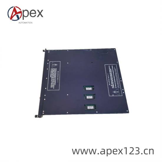TRICONEX 4000093-310 Front View