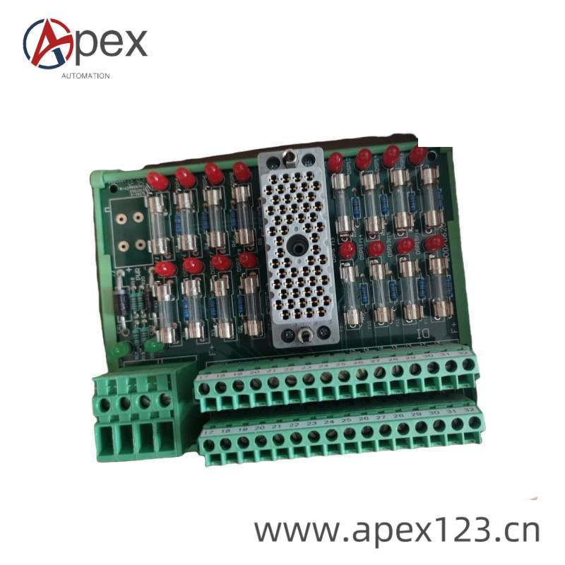TRICONEX 9563-810 Side View
