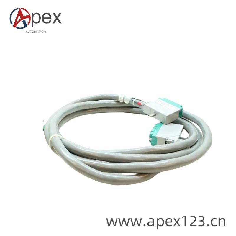 TRICONEX 9651-110 Installation