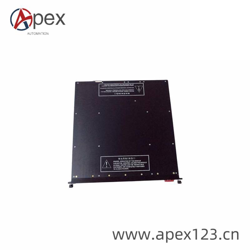 TRICONEX 9651-110 Side View