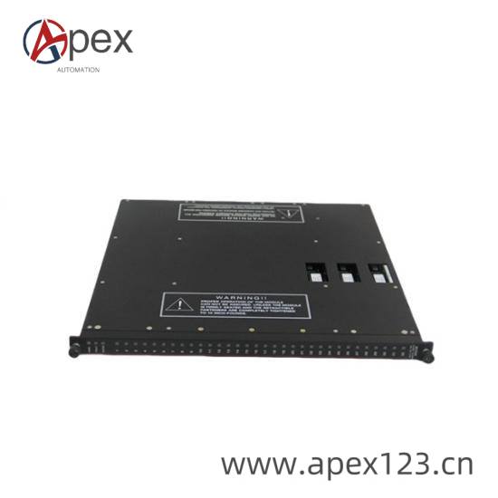 TRICONEX 0905-148-6921 Side View