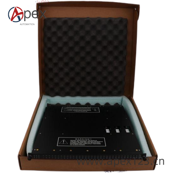 TRICONEX 3008N Front View