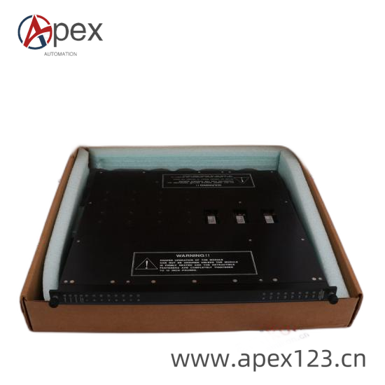 TRICONEX 3008N Installation