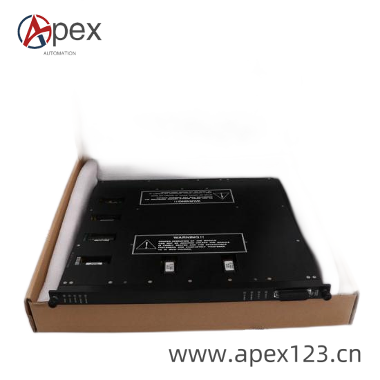 TRICONEX 3501TN2 Connector Detail