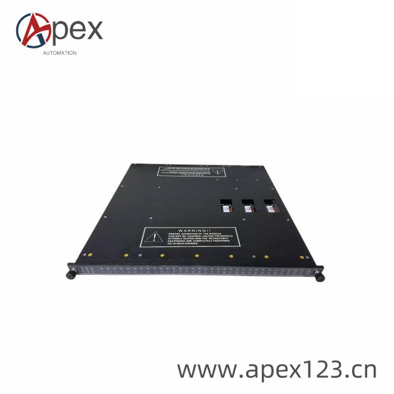 TRICONEX 3636R Software Interface