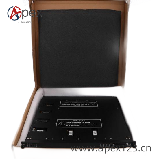 TRICONEX 3902AX Side View