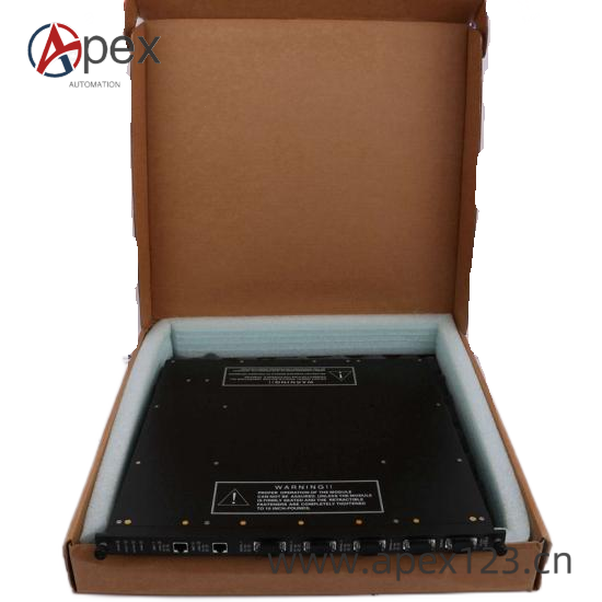 TRICONEX 4000093-145 Front View