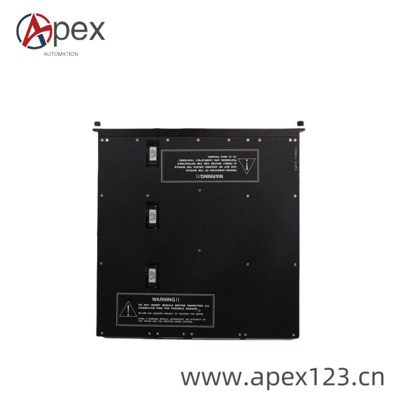 TRICONEX 4000094-313