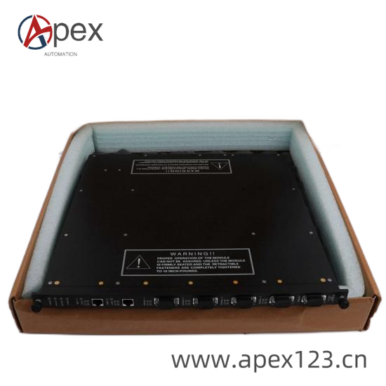 TRICONEX 4000098-510 Front View