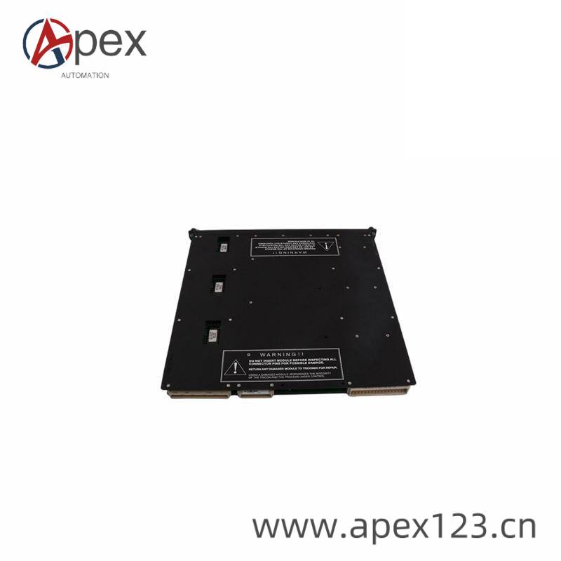 TRICONEX 9563-810 Module