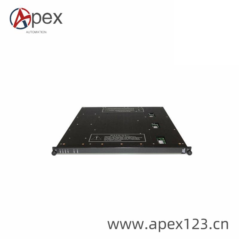 TRICONEX 9760-2 Front View