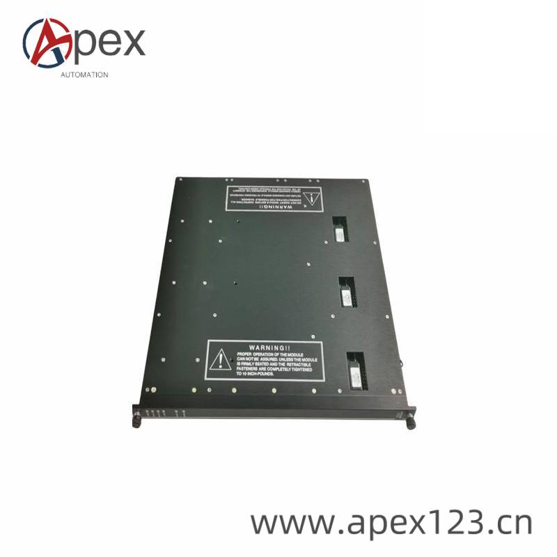 TRICONEX D06603 Front View