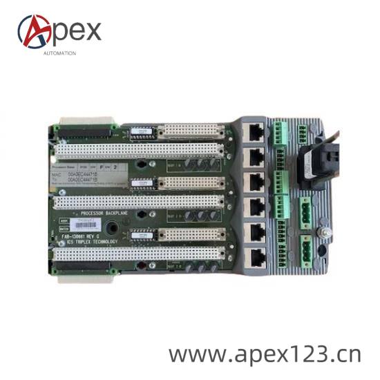 TRICONEX T8830 Side View