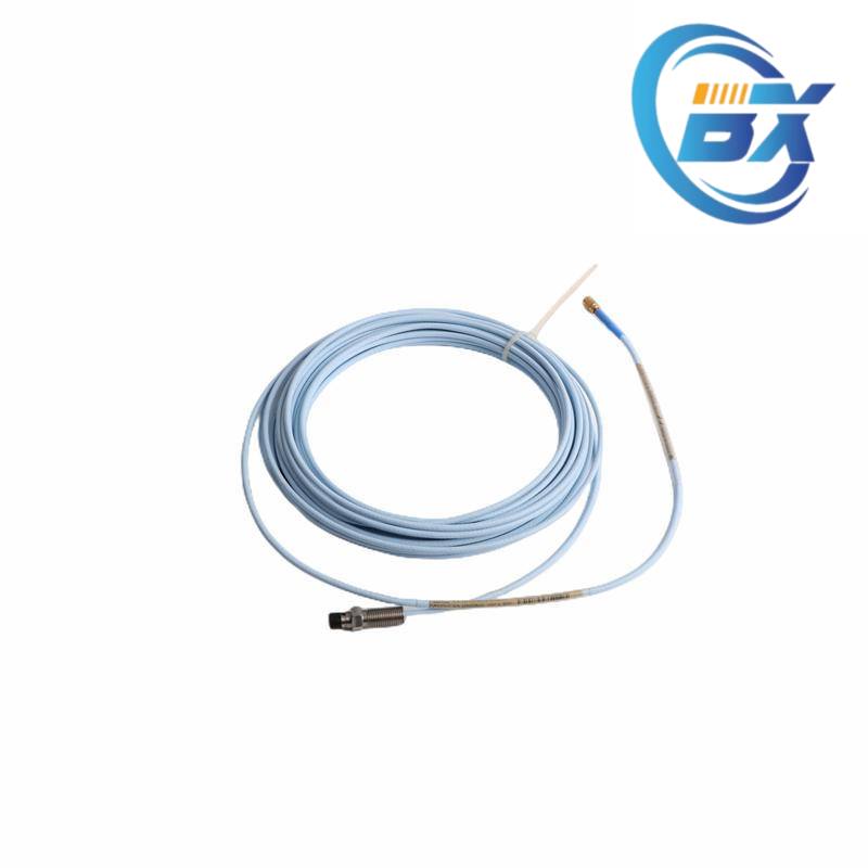 BENTLY 132419-01 Module Front View