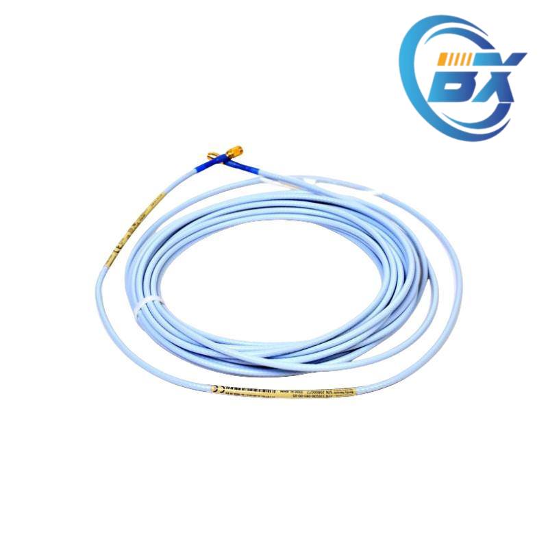 ALSTOM EPIC II Module Interface