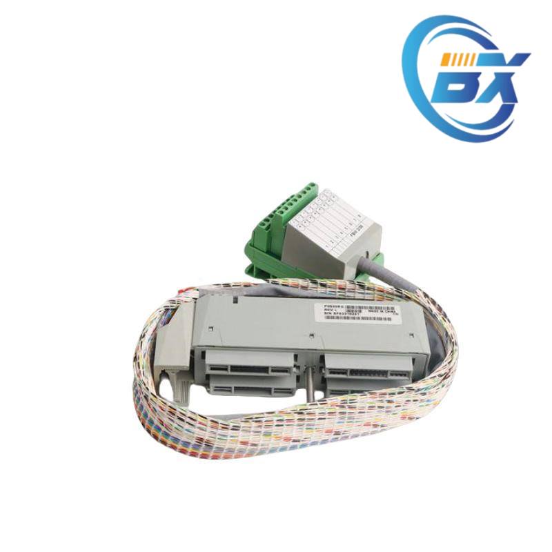 FOXBORO P0500RG Module