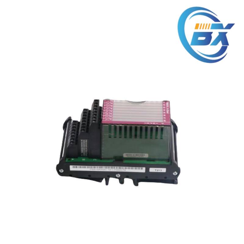 FOXBORO P0916AA Module