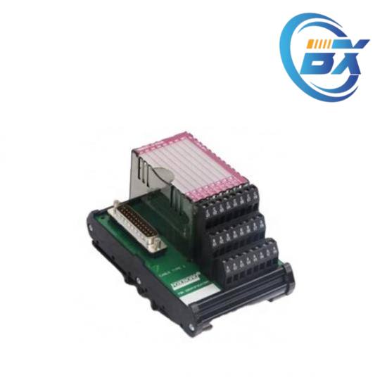 P0916AA Installation View