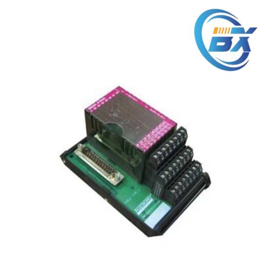 FOXBORO P0916AE Connector Details