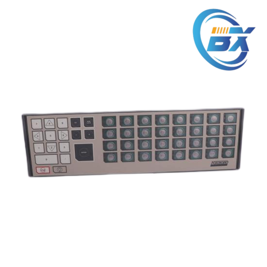 FOXBORO P0916JW Side View