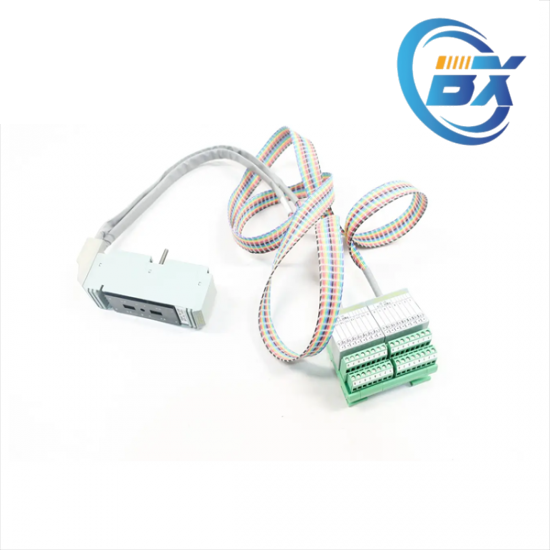 FOXBORO P0916WF Diagram