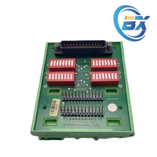 FOXBORO P0970BC-DNBI Side View