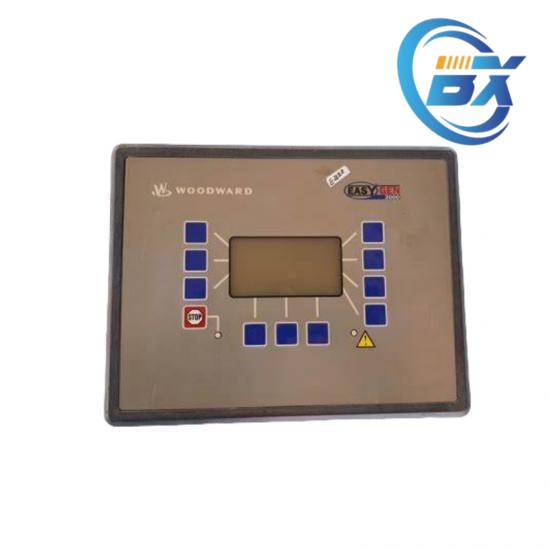 GE 531X303MCPBBG1 Terminal Detail