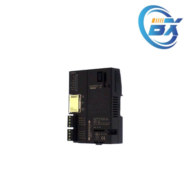 GE DS200CTBAG1ADD Connector Detail