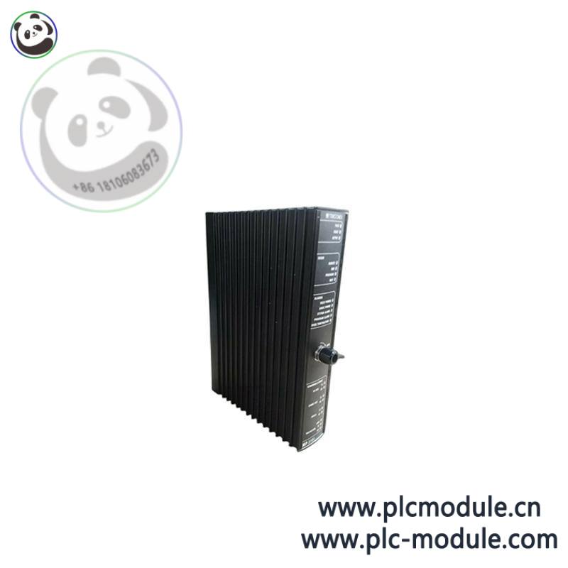 TRICONEX 3625C1 интерфейсы