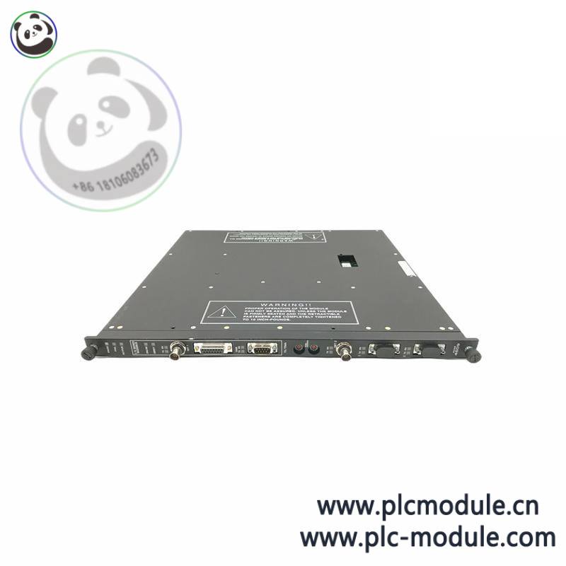 TRICONEX MA2211-100