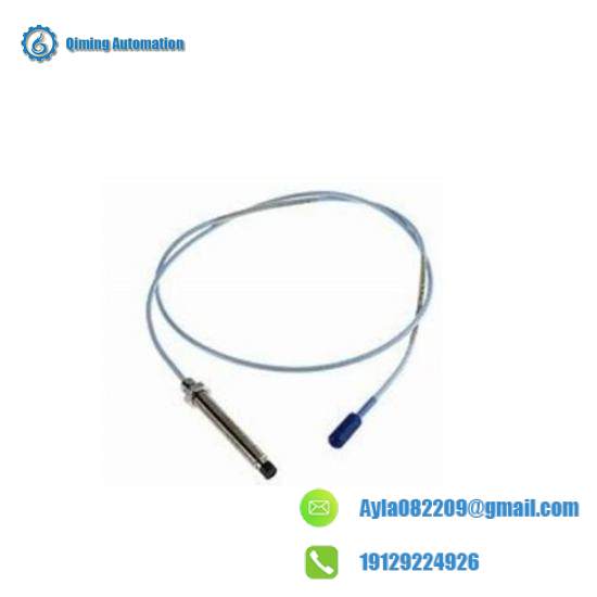 BENTLY 132419-01 Module