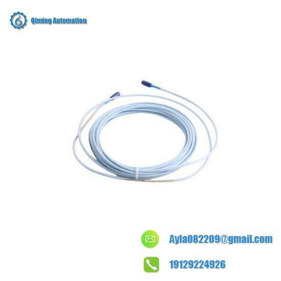 BENTLY NEVADA Vibration Module