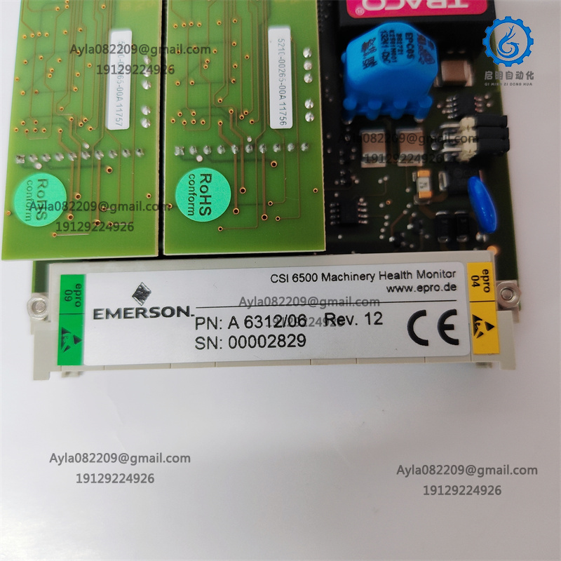 EMERSON A6312/06 Module