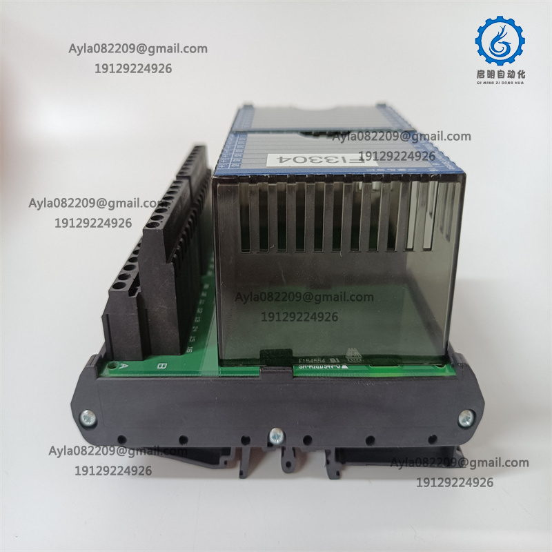 FOXBORO PP0916JS Module