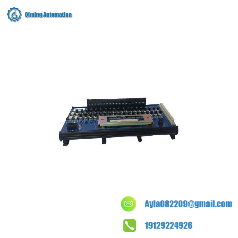 ICS TRIPLEX 9802*3 Module