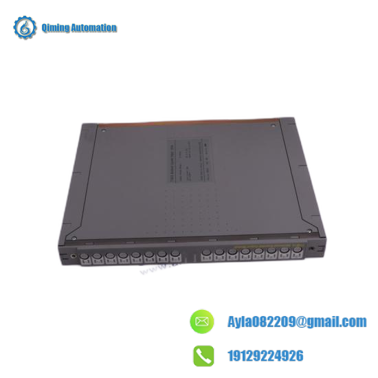 ICS TRIPLEX T8111C Control Module