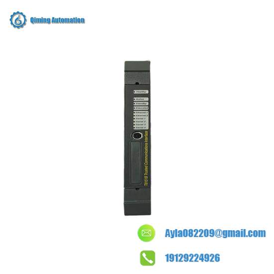 ICS Triplex T8151B Module