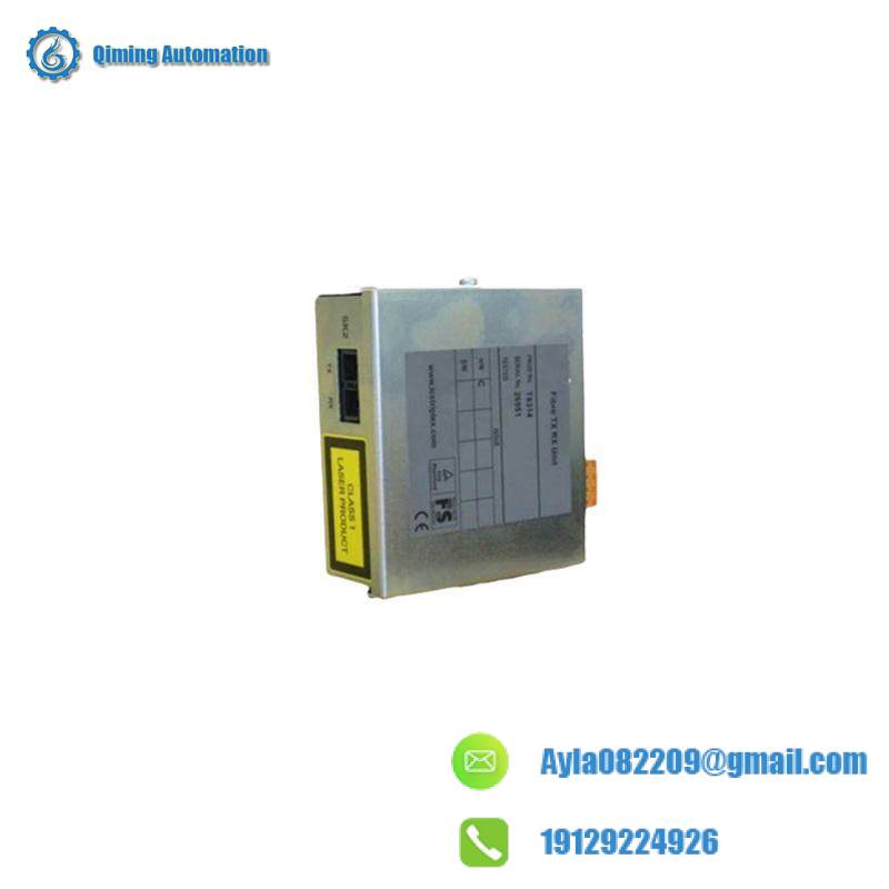 ICS TRIPLEX T8314 Module